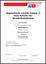 Master Thesis